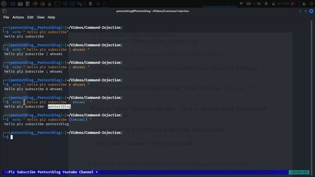 Command Injection Vulnerability смотреть онлайн