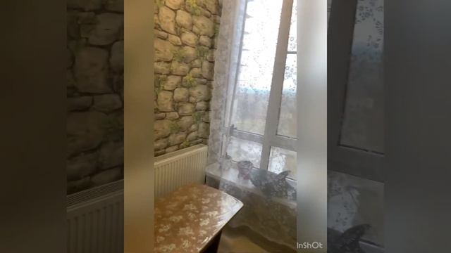 Продам 1к.кв. 40 кв.г.Краснодар.Собственник.3 700 000 ₽. @syrovatko.85@mail.ru 8908-670-89-59 смотреть онлайн