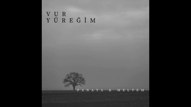 Panaya & Meltem - Vur Yüreğim (Sertab Erener Cover) @meltemnisadalklc888 смотреть онлайн