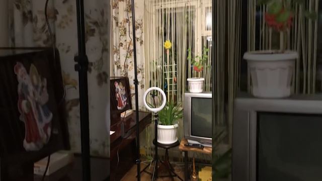 Лампа-супер!!! @clever_garden #elenazhelankina #lenaleto смотреть онлайн