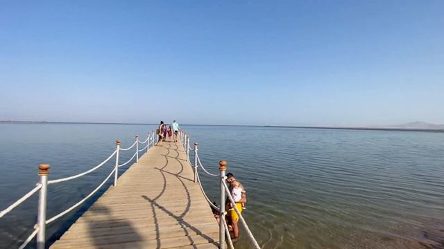 PICKALBATROS ROYAL MODERNA 5*, SHARM EL SHEIKH, EGYPT. LIVE 4K VIRTUAL HOTEL TOUR.