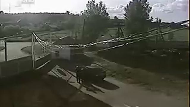 Сторожевая собака чуть-чуть не покусала человека. смотреть онлайн