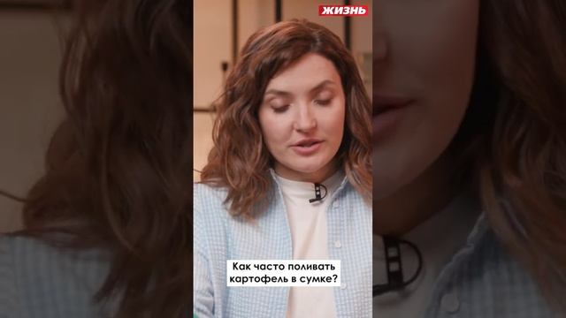Как часто поливать картофель в сумке￼ смотреть онлайн