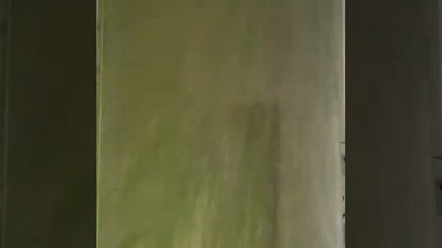 Акцентная стена. Декоративная штукатурка -глянец в зеленых тонах. смотреть онлайн