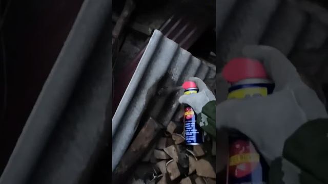 Как мы избавлялись от осиного гнезда)) смотреть онлайн