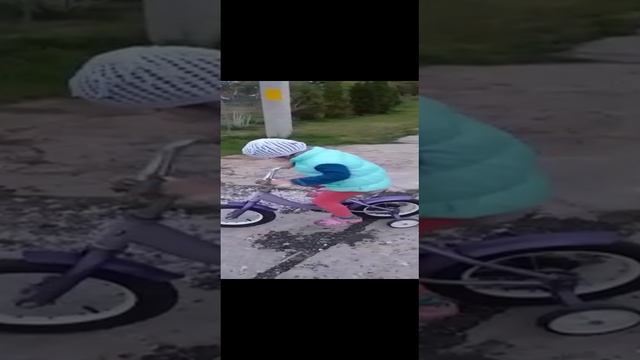 систр на ламбе