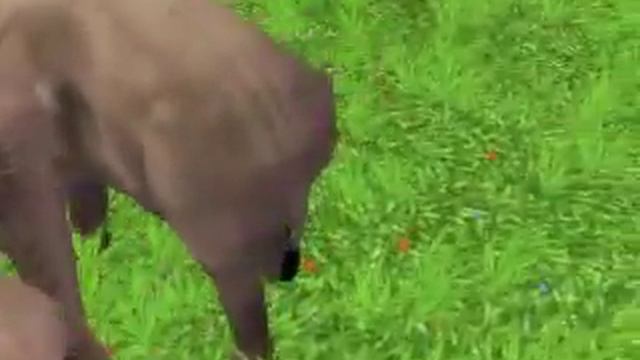 marine park empire video #2 смотреть онлайн