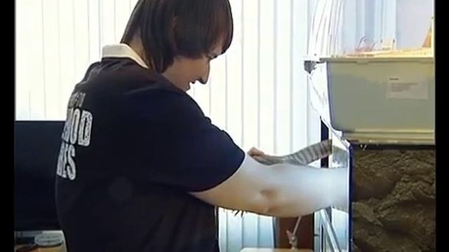 Липчанин устроил дома настоящий террариум смотреть онлайн