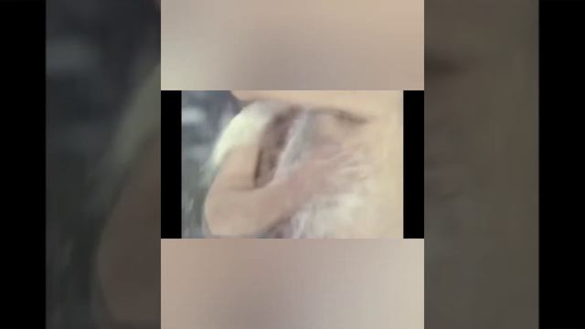 Учителям Камышановской средней школы смотреть онлайн