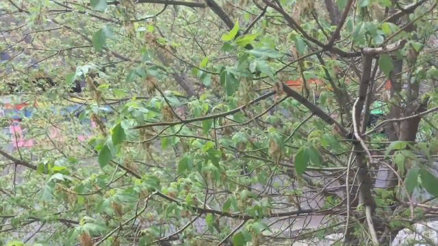 April 💕 Love смотреть онлайн