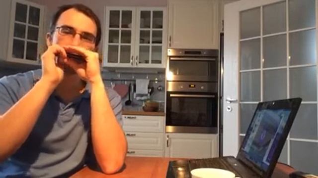 Juraj Schweigert - Practicing 11th position on a G harp смотреть онлайн