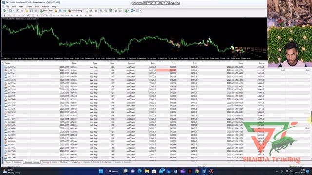 I Make $260 In Two Days With Help Of Expert Advisor. Winning Strategy In Forex Market. смотреть онлайн