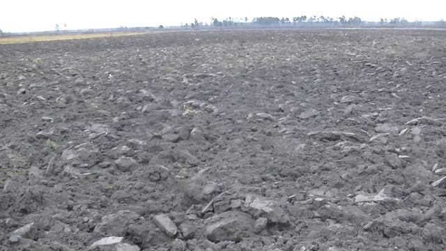 ТАКУЮ РАССЫПУХУ МОНЕТ Я ЕЩЁ НЕ НАХОДИЛА. Как поднять настроение. В поисках золота с металлоискателе смотреть онлайн