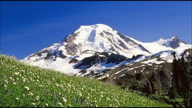 Polka Oberkrainer Oktoberfest Tiroler Harmonika Accordeon Alpen Volksmusik 1 смотреть онлайн