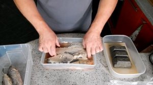 Рыбец Вяленый Засолка Рыбы в Жару. Выпуск №303