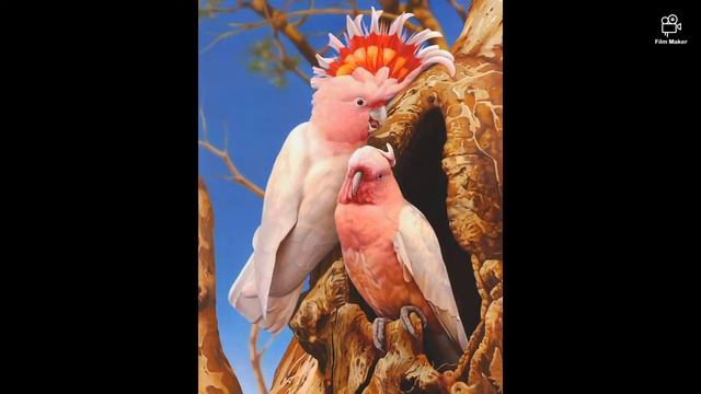 Прекрасные животные Ego Guiotto смотреть онлайн