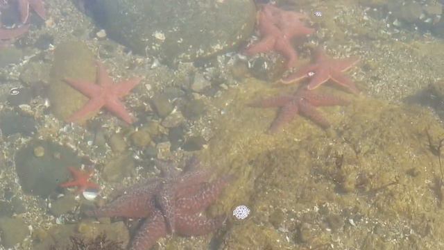 Прогулка к островам Три брата. смотреть онлайн