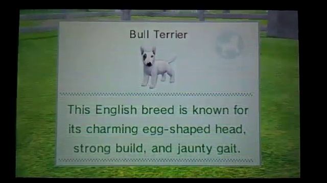 Nintendogs + Cats 3DS [Unlocked Breeds] смотреть онлайн