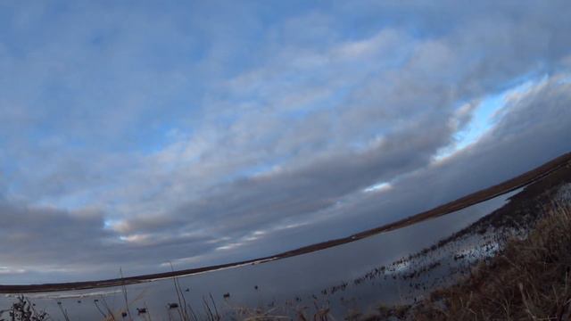 УТКА ШЛА КАК ДУРНАЯ!!!! ВЕСЕННЯЯ ОХОТА НА УТКУ 2021, СУПЕР ОХОТА С ПЛЕМЯННИКОМ!! смотреть онлайн