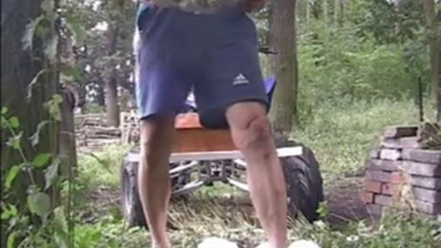 Pýchavkavatovecobrovská Langermannia gigantea смотреть онлайн
