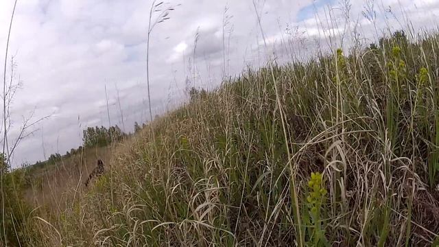 Первые полчаса игры S.T.A.L.K.E.R. от команды вРоде