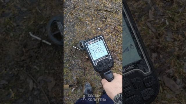 Находка на пляже с металлоискателем Nokta legend смотреть онлайн