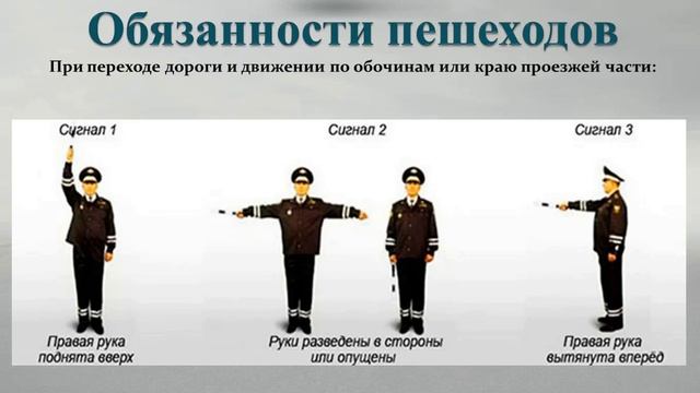 Обязанности пешеходов и пассажиров смотреть онлайн