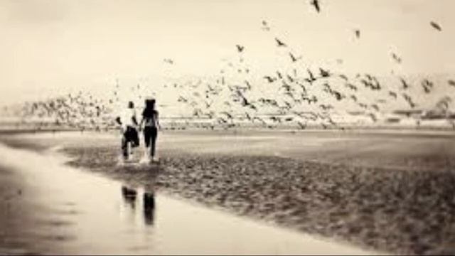 Давай убежим ARS-N смотреть онлайн