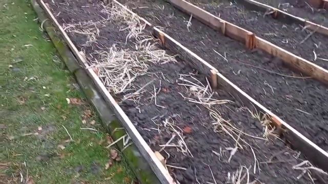 Два способа посадки лука.