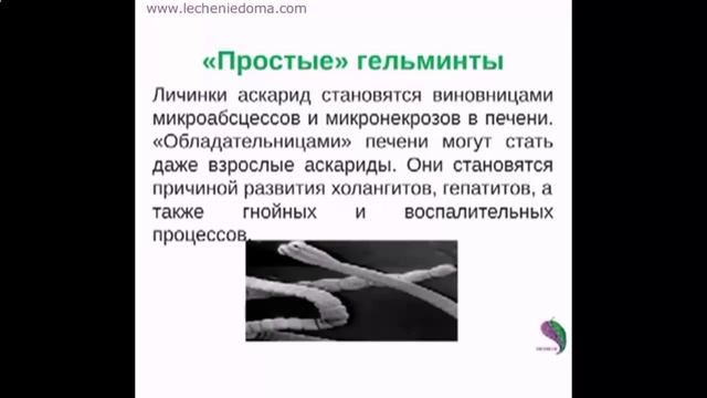 Как быстро вылечить лямблии в домашних условиях. Лечение лямблиоза и описторхоза с Биомедис М смотреть онлайн