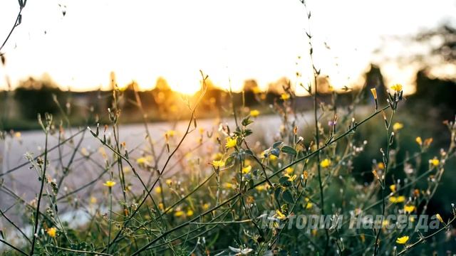 Убирая могилку матери, девочка услышала за спиной женский плач. Обернувшись… смотреть онлайн