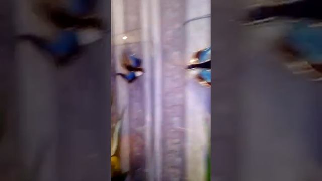 Витражные межкомнатные панели-перегородки. смотреть онлайн