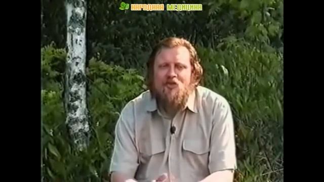 Череда в народной медицине. Применение череды, народные рецепты, лечебные свойства смотреть онлайн