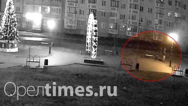 В Орле два «оленя» украли новогоднего оленя смотреть онлайн