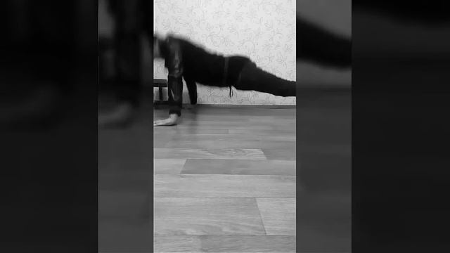 Отжимаюсь каждый день смотреть онлайн
