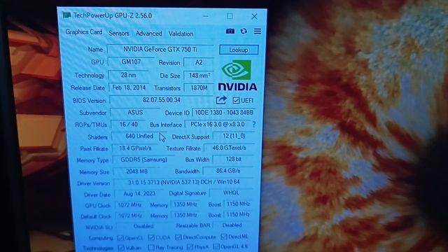 VID_20240116_141214[1]