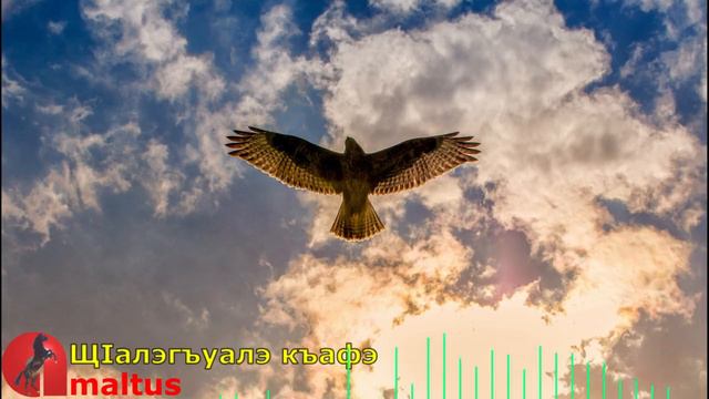 ЩIалэгъуалэ къафэ смотреть онлайн