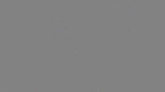 ПЕРВЫЙ ВЗГЛЯД - Прохождение The Dwarves #1 [Начало пути] смотреть онлайн