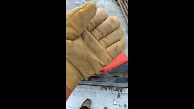 Работы на винограднике, выращиваемом в траншее, в ноябре. смотреть онлайн