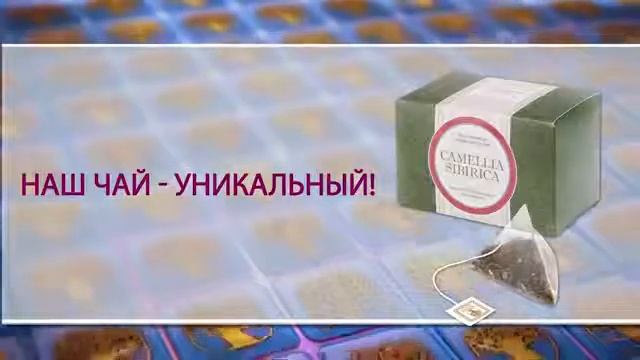 Эксперт Юрий Гичев Новый фиточай премиум класса Camellia Sibirica с саган дайлей Сибирское здоровье смотреть онлайн