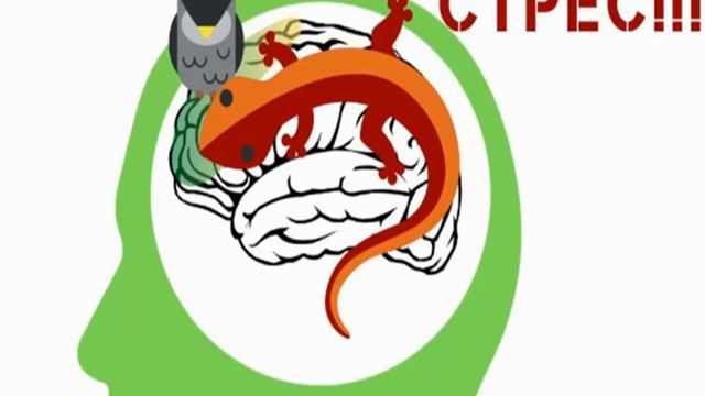 Як подолати стрес у дітей під час сирени. Рекомендації для вихователів та вчителів початкової школ смотреть онлайн