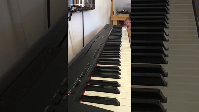Vendido Piano Digital P-85 смотреть онлайн