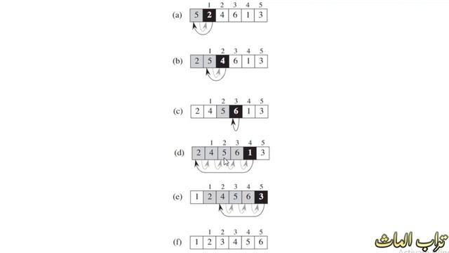 [3] Insertion Sort | شرح عربي في دقيقتين смотреть онлайн