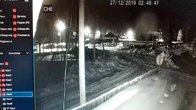 Волки съели собаку в Коми