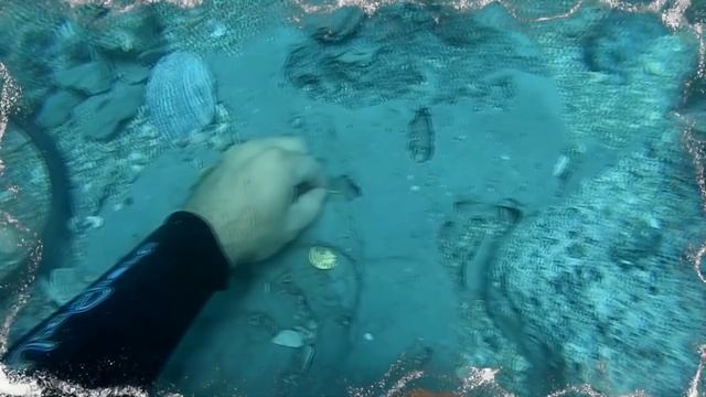 Брат и сестра обнаружили В МОРЕ на самом дне и теперь они богаты смотреть онлайн