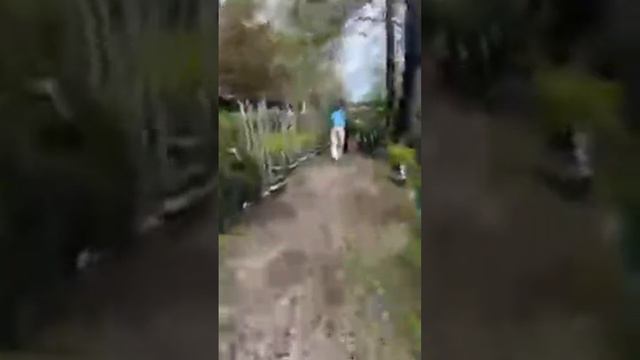 Юлия Петрова USA. Садовые закупки. смотреть онлайн