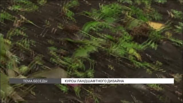 Как стать ландшафтным дизайнером? смотреть онлайн