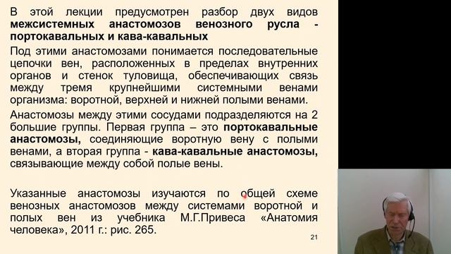 Анатомия 3.Системы воротной, верхней и нижней полых вен. Межсистемные анастомозы смотреть онлайн