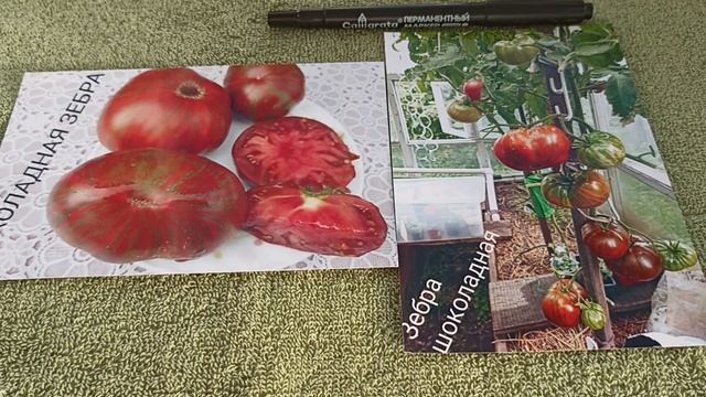 Лучшие полосатые сорта томатов, проверенные Сибирью! Выбираем для следующего сезона. смотреть онлайн