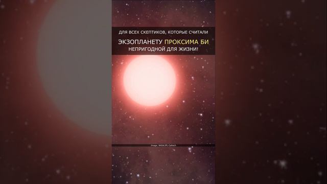 Мы нашли разумную жизнь! смотреть онлайн